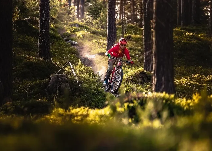 Prázdninový dům Rolfhytta - Fosskamben 19