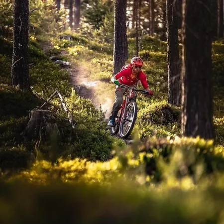 度假居 Rolfhytta - Fosskamben 19