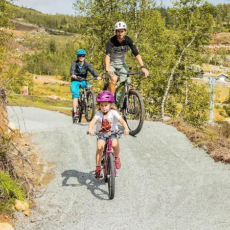 度假居 Rolfhytta - Fosskamben 19